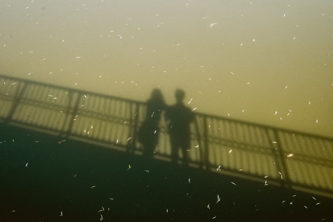 http://n.sinaimg.cn/translate/w600h397/20180311/WaOj-fxpwyhw9423754.jpg?zdy